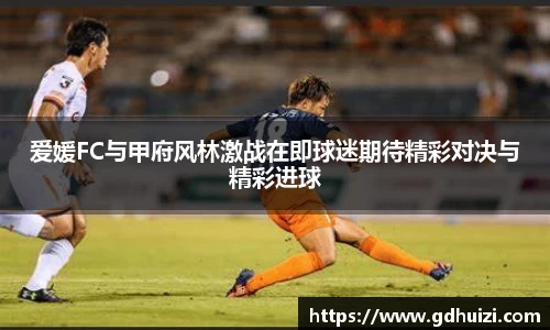 低调看直播